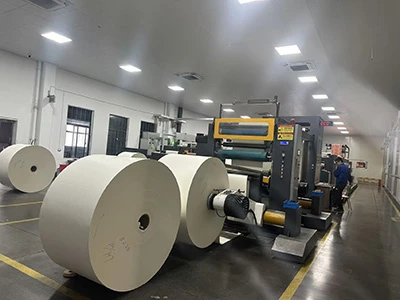 Film Coating